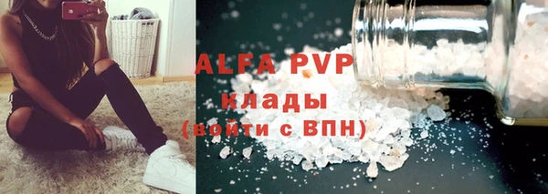 индика Алексин