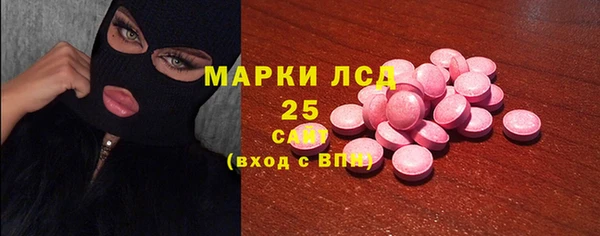 индика Алексин